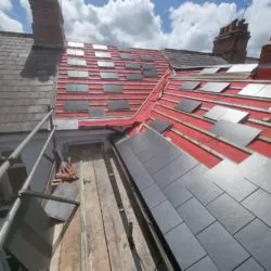 roof june 22 1