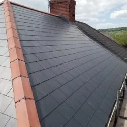 New Roof 3